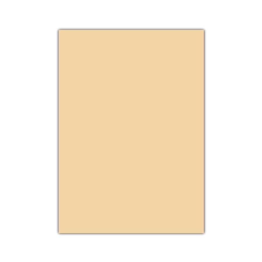 TİCON 283509 EVA KLASİK YAPIŞKANLI 50x70 CM 10 LU TEN RENGİ