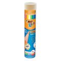 BİC EVOLUTION KURUBOYA KALEMİ 12 Lİ TÜP 958191