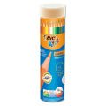 BİC EVOLUTION KURUBOYA KALEMİ 24  LÜ TÜP 958190