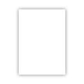 BİGPOİNT BP700-01 FON KARTONU 50X70CM 160 GRAM BEYAZ 100' LÜ