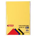 BİGPOİNT BP700-97 FON KARTONU 35X50CM 160 GRAM KARIŞIK 10 RENK 100' LÜ PAKET