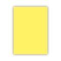 BİGPOİNT BP701-14 FON KARTONU 50X70CM 120 GRAM SARI 100' LÜ PAKET