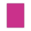 BİGPOİNT BP701-65 FON KARTONU 50X70CM 120 GRAM LİLA 100' LÜ PAKET