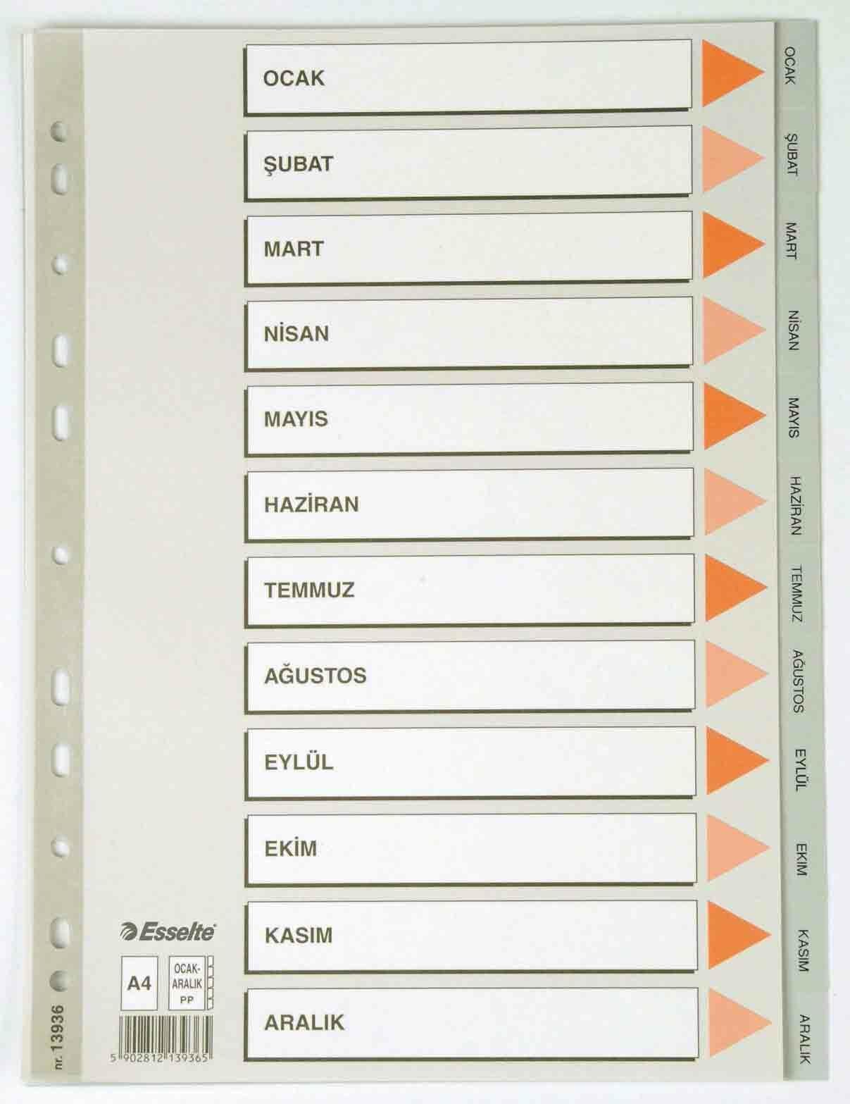 ESSELTE 13936 SEPERATÖR A4 AYLAR GRİ 10'LU KT.