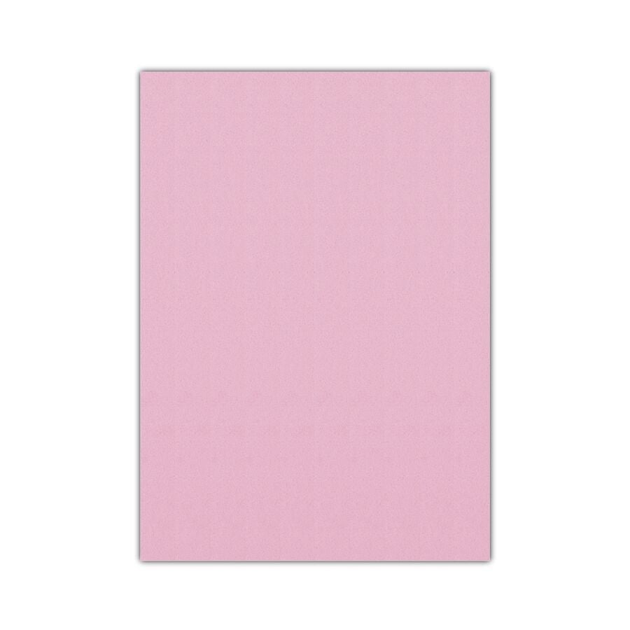 BİGPOİNT BP730-63 EVA 50X70CM PEMBE 10'LU PAKET