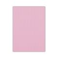 BİGPOİNT BP730-63 EVA 50X70CM PEMBE 10'LU PAKET