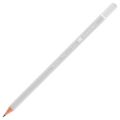 BİGPOİNT BP947-24 DERECELİ KALEM 4H